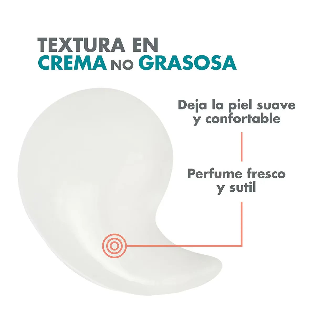 Tienda Piel