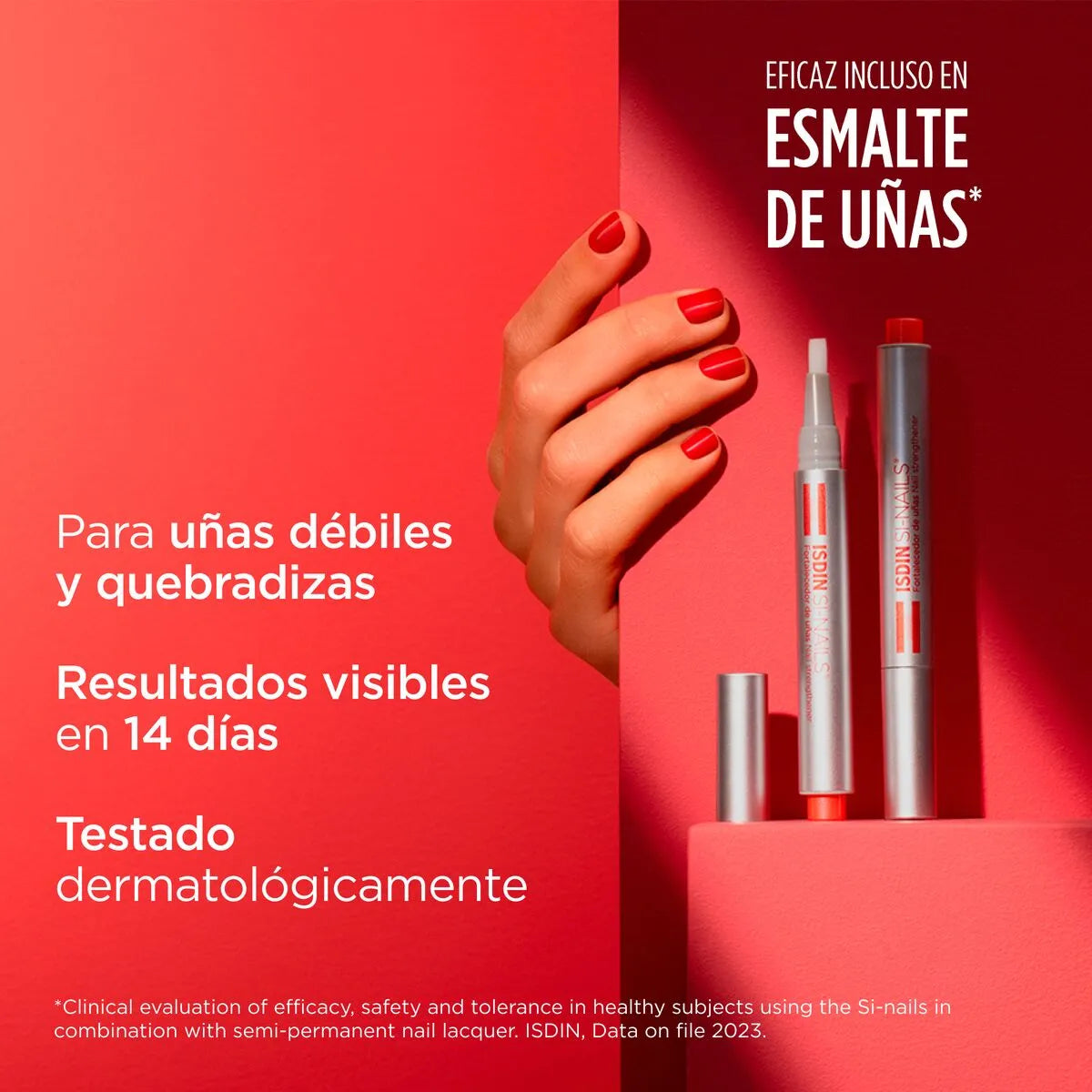 Tienda Piel