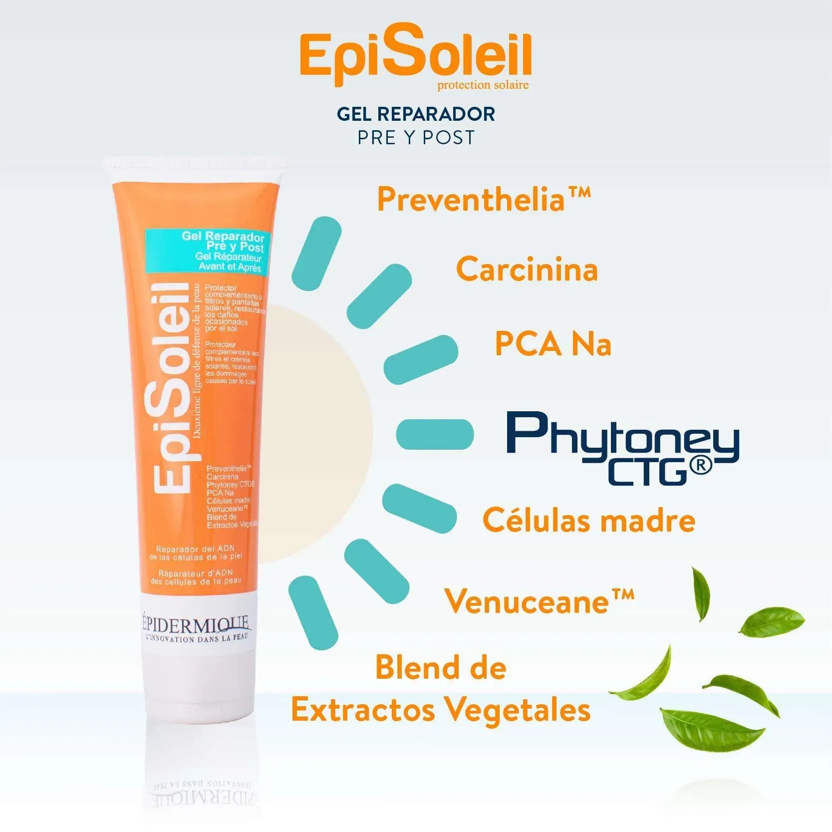 Tienda Piel
