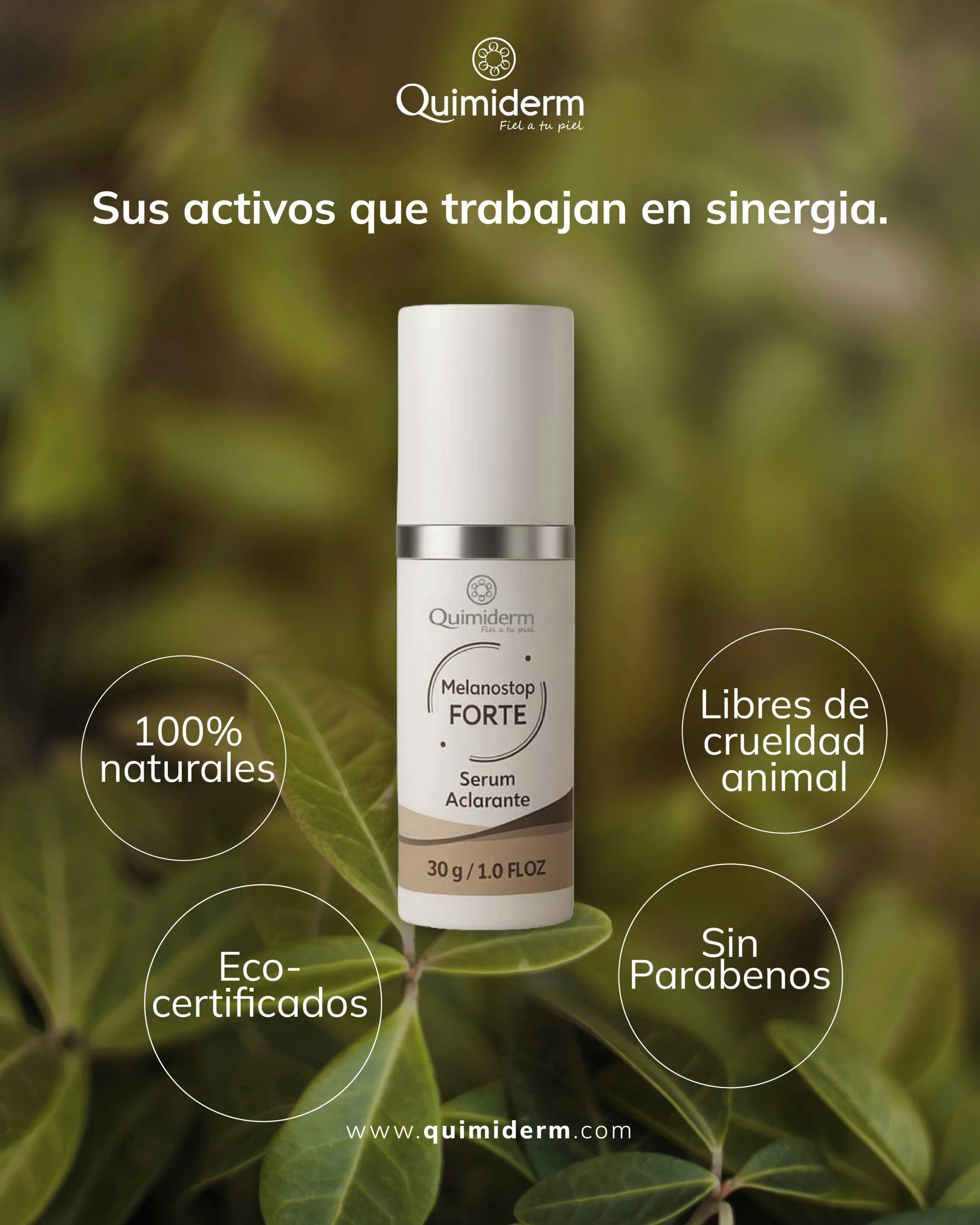Tienda Piel