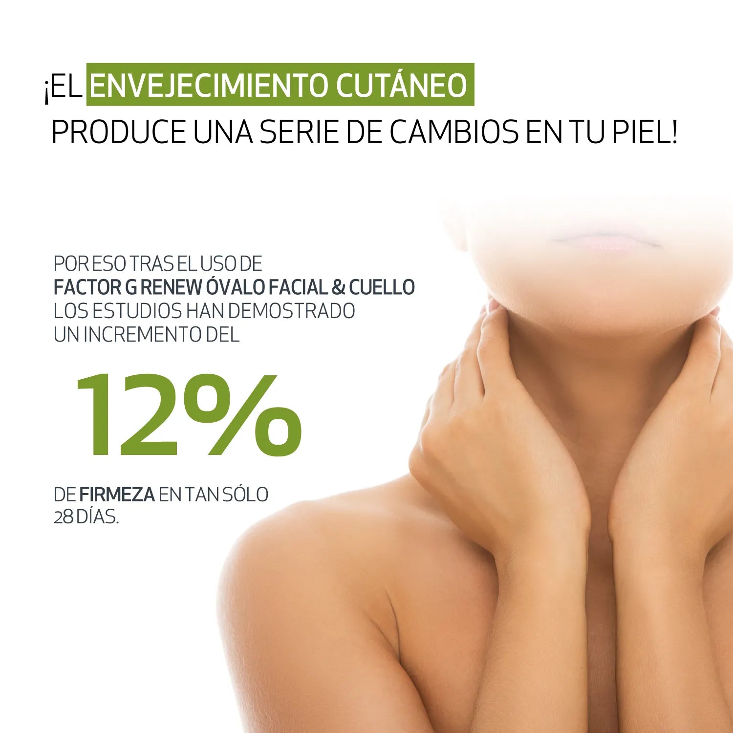 Tienda Piel