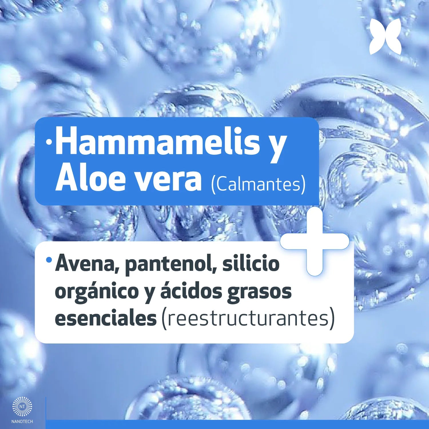 Tienda Piel
