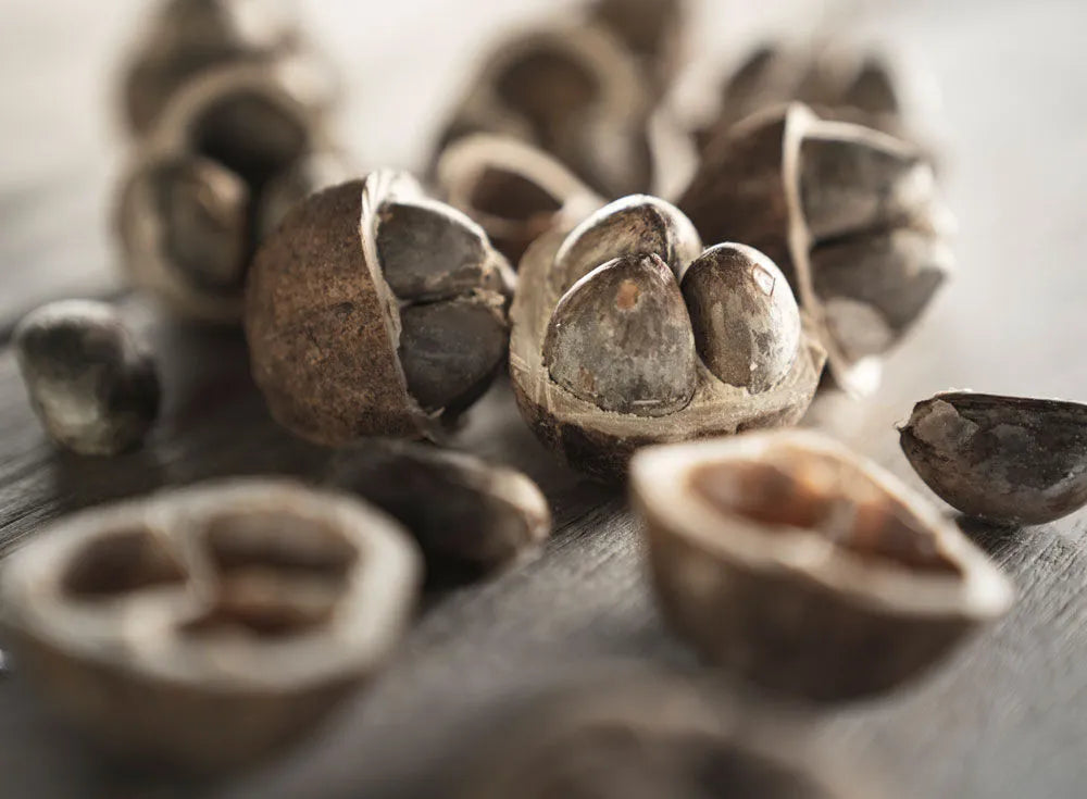 Sesderma Sescacay Crema Corporal Nutritiva x250ml