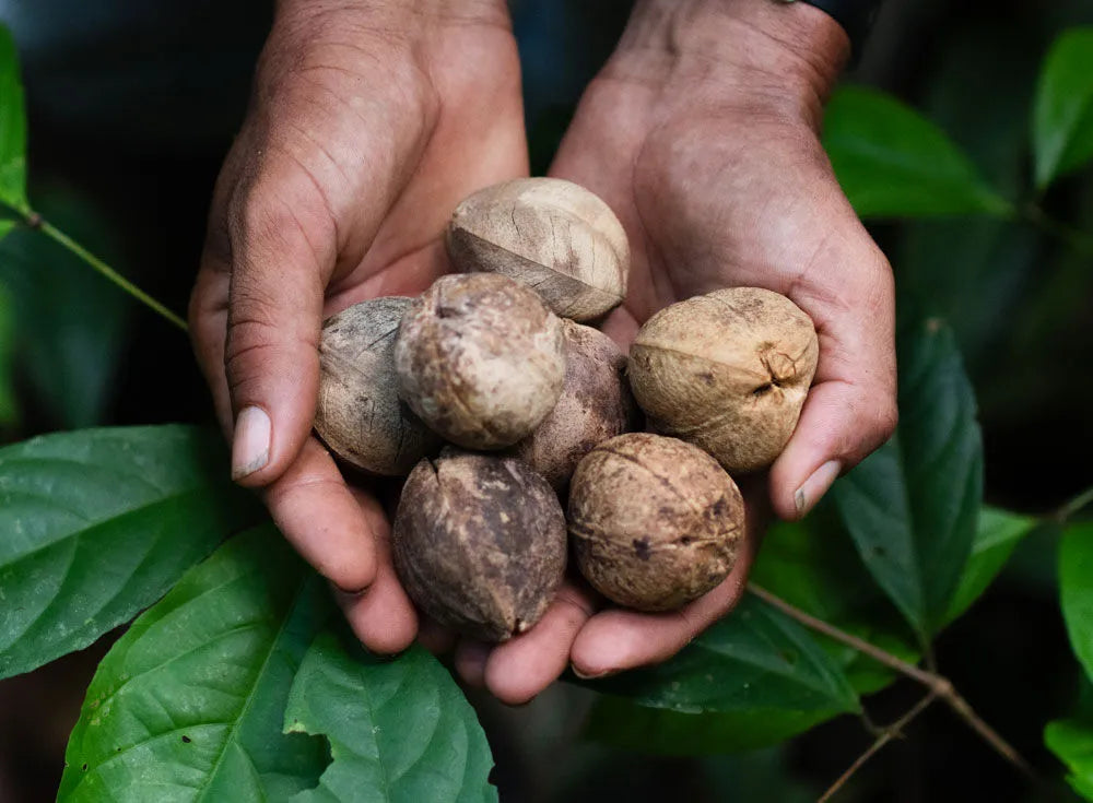 Sesderma Sescacay Crema Corporal Nutritiva x250ml