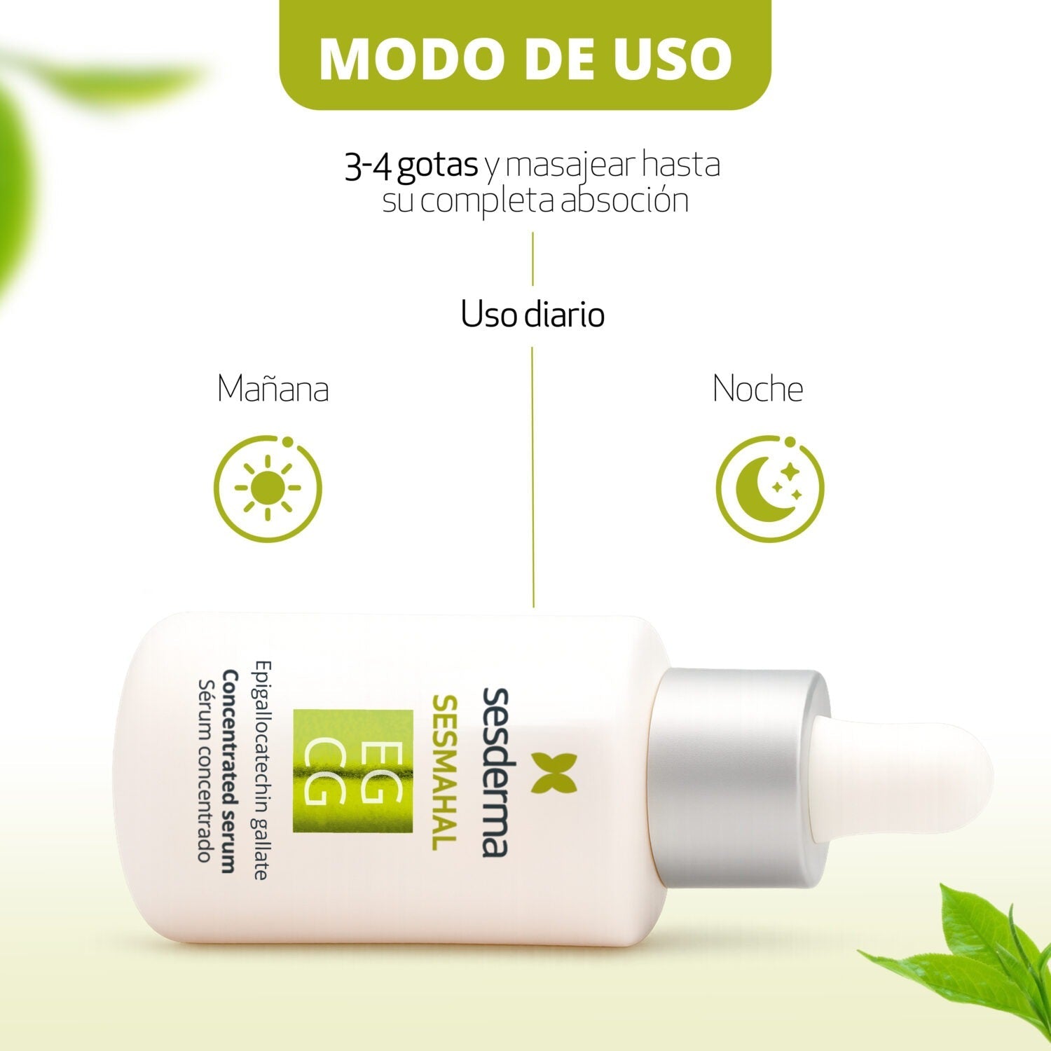Tienda Piel